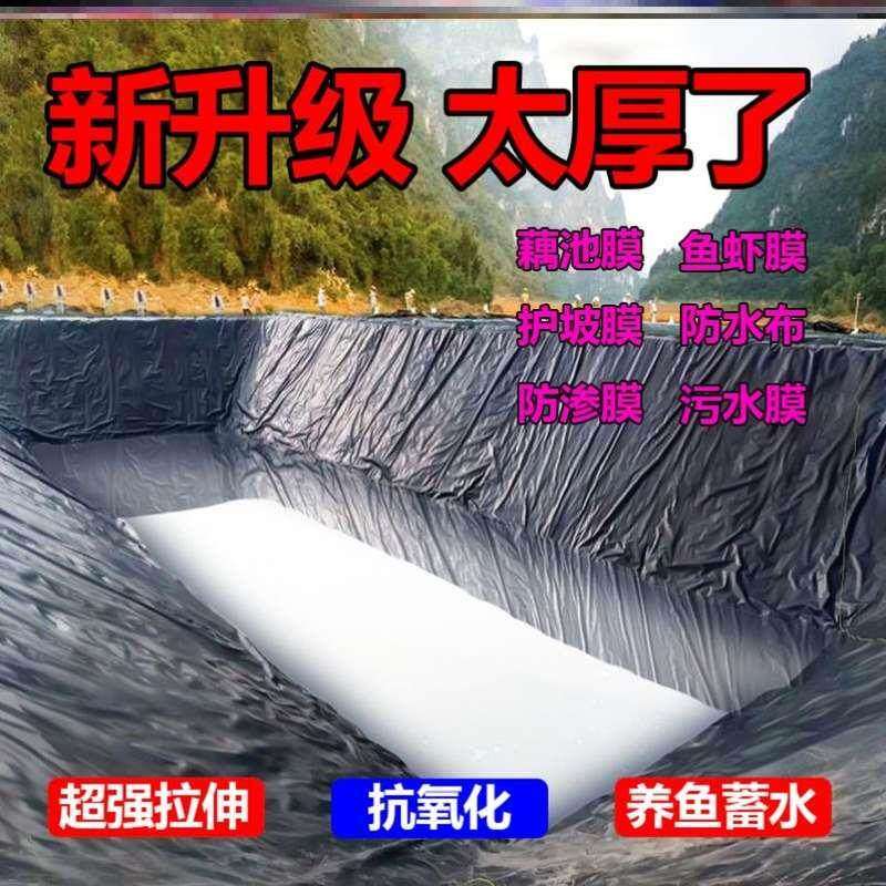 鱼塘防渗膜鱼池防水地膜水产养殖膜布蓄水池防漏膜土工膜黑色塑料