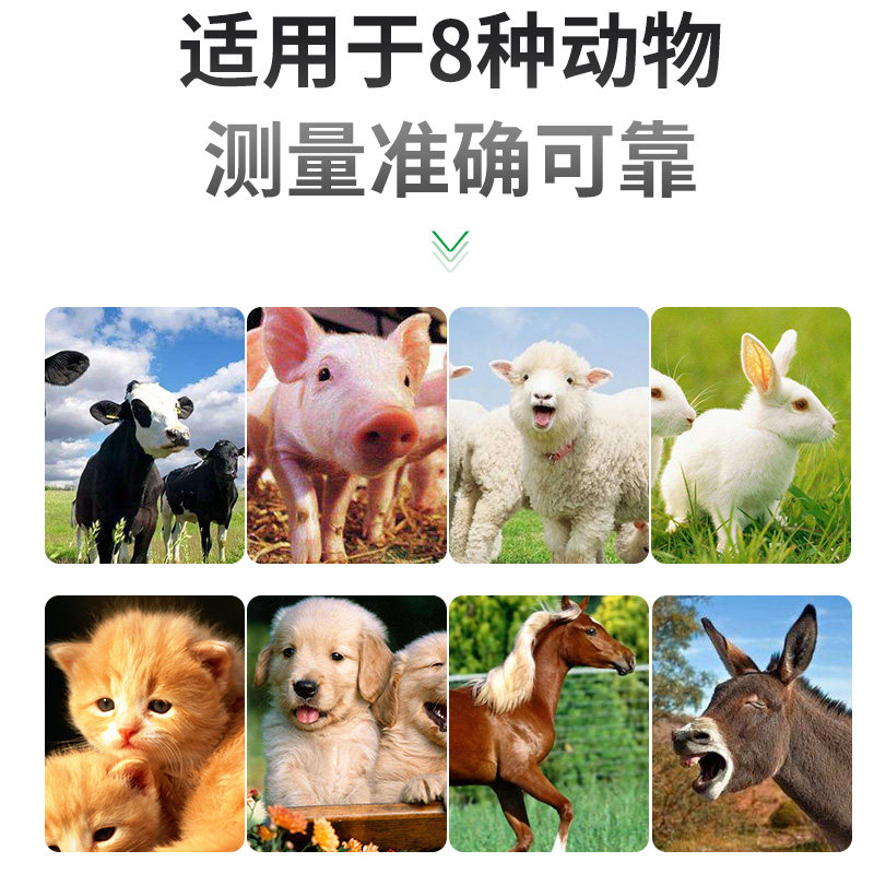 猪用B超机畜牧动物牛羊兽用比超便携彩色高清母猪测孕仪养殖设备