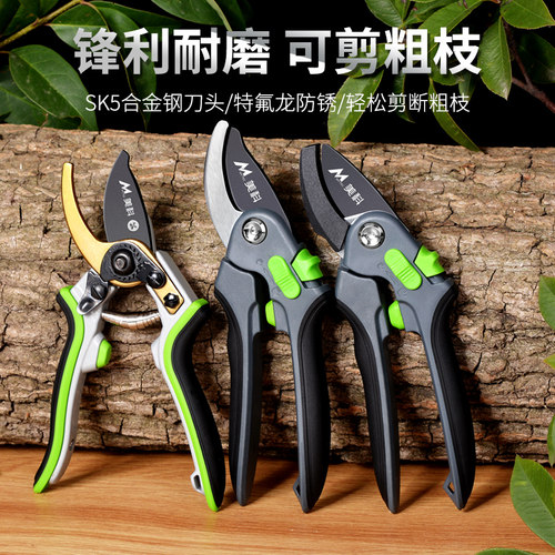 果树修枝剪园林树枝剪刀园艺剪花剪修剪专用工具德国省力剪子神器