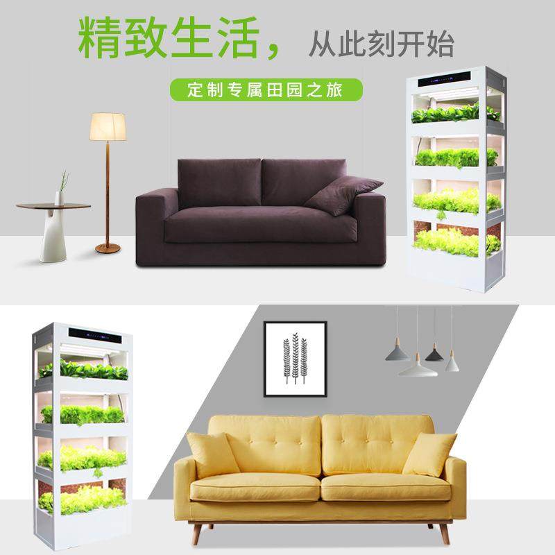 绿阳庭室内空气净化加湿器水耕无土栽培种植设备智能种菜养花机