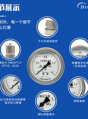 厂家直YNBF100Z销全不锈钢耐震压力表耐酸碱耐腐蚀316L气压水压表