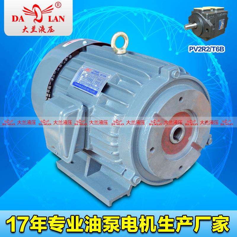 DALAN直插式T6B液压电机全铜线PV2R2油泵专用电机DL-132S-4-5.5KW