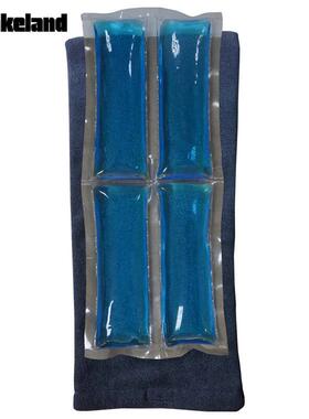 雷克兰00059经济型降温剂 蓝色结冰型无味凝胶（1套4组）降温背心