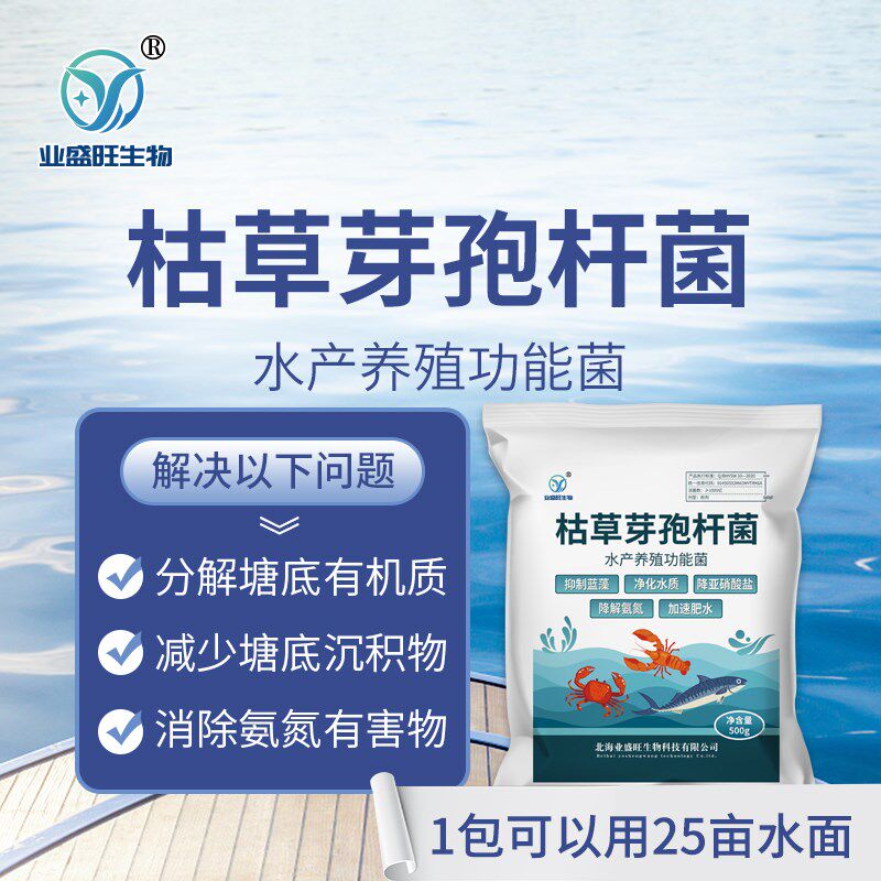 水产枯草芽孢杆菌净化水质降解亚硝酸盐肥水降解氨氮除蓝藻