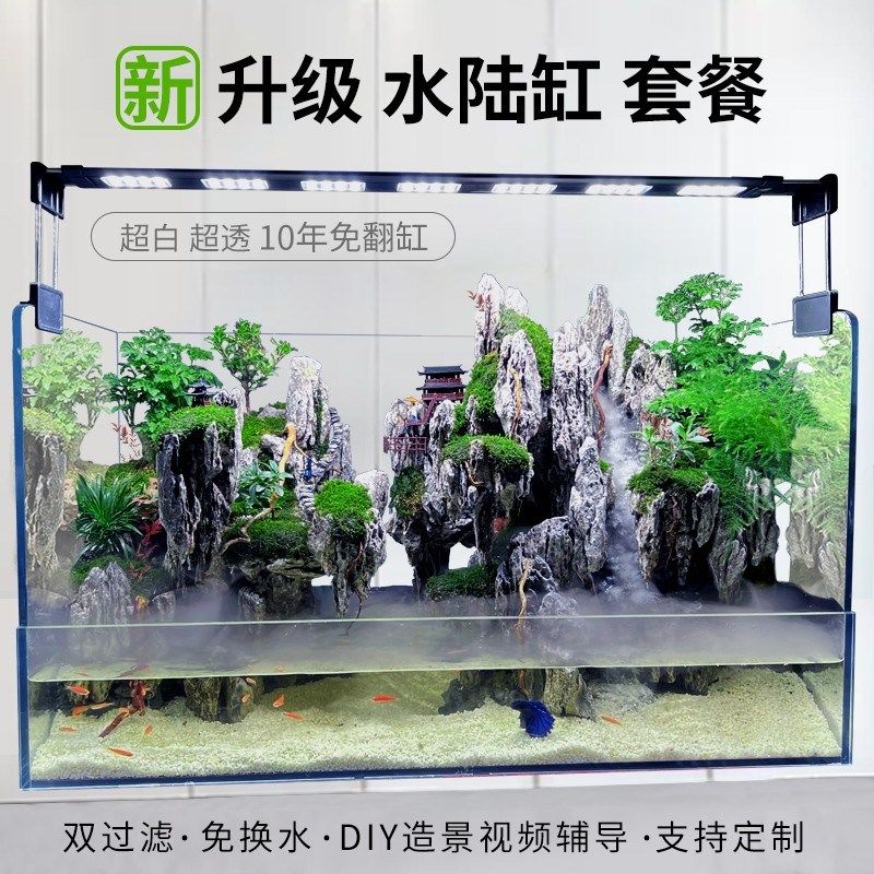 新款水陆缸造景套餐材料超白玻璃生态鱼缸生态雨林缸植物造景微景