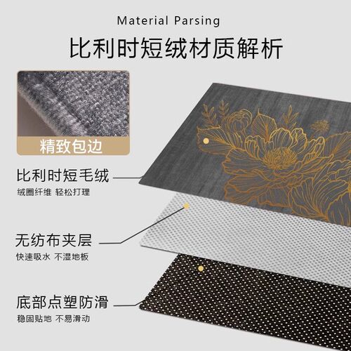 入户门地垫门垫进门地毯2024新款高级客厅玄关防滑可裁剪脚踏垫子