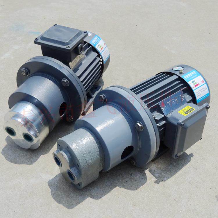 LWBZ-CB-B16 B20 B25 B32 JZ齿轮油泵电机组装置YE2-802-4 0.75KW