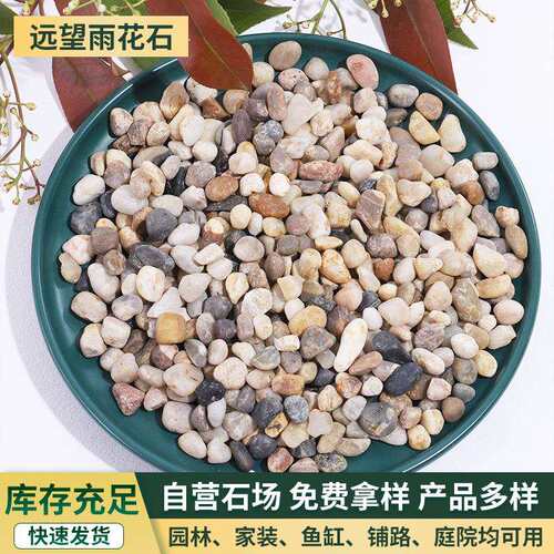 豆石 汗蒸房地暖回填豆石小石头污水处理过滤砂石子小粒雨花石子