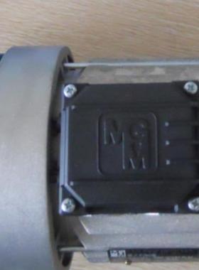 BADA80A4/6 刹车片 电机 线圈 意大利 MGM 刹车电机折扣