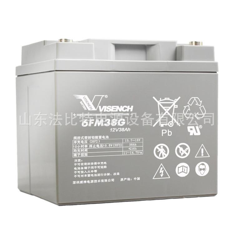 威神铅酸蓄电池6FM38G三瑞12V38Ah直流屏EPS 量大从优 VISION