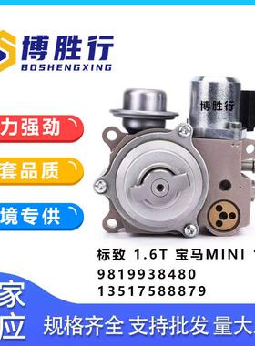 适用于标致宝马1.6T高压燃油泵高压油泵13517588879 9819938480