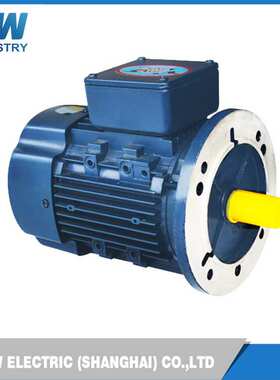 SMC上海金陵电机YSJ-1HS计量泵铝壳220/380V三相异步电机