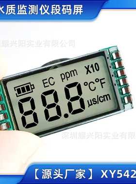 水质监测笔LCD液晶屏显示屏溶质段码屏不含针脚22.5x10.85 54295