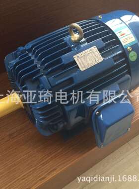 加拿大CSA认证交流三相异步电动机