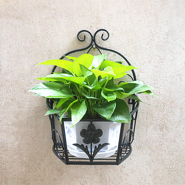 阳台壁挂式花架 挂壁 挂墙上 墙壁墙面花盆架子 绿萝花.篮架置物