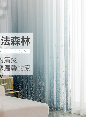 2021新款流行绣花纱帘窗纱白色C简约北欧客厅成品纱帘隔断阳台书