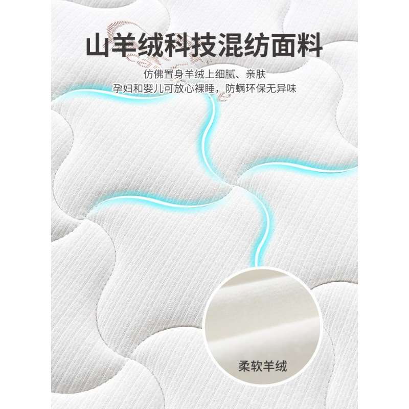 席梦思弹簧床垫家用乳胶椰棕弹簧床垫双人经济型卧室出租屋弹簧垫