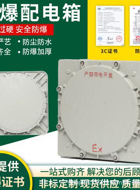 防爆IIC配电箱照明控制箱不锈钢配电箱检修箱仪表箱电控箱操作柱