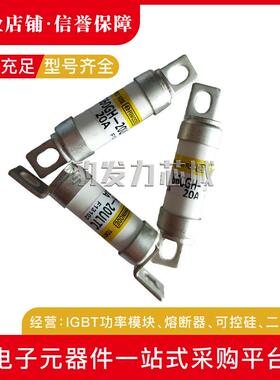 660GH-40UL 660GH-50UL 660GH-63UL熔断器 保险丝 断路器