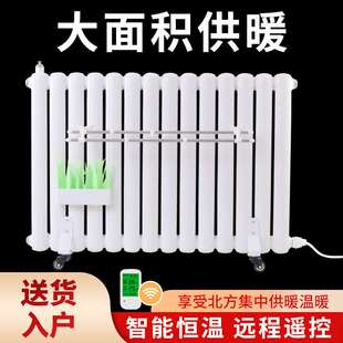 加水电暖器省电电加热取暖器加水电暖气片家用注水电暖气片