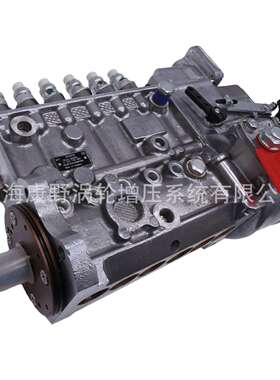 喷油泵9400030720  3928595和* 4063968 101405-3350和*4063855