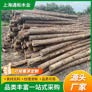 松木桩杉木桩河道打桩木绿化支撑杆落叶松油松户外防汛带皮原木桩