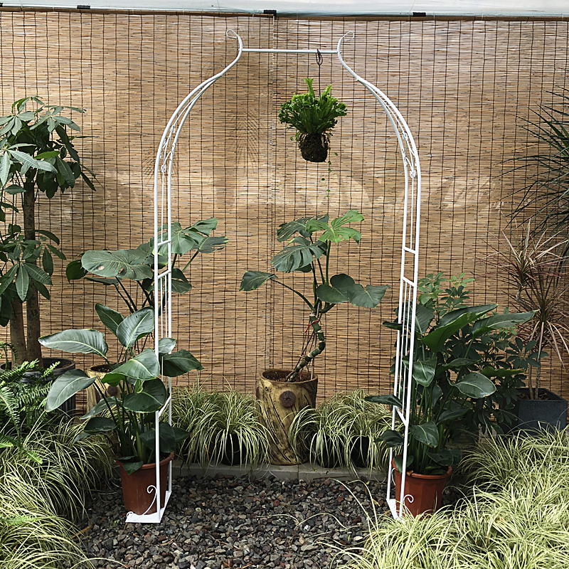 庭院铁艺葡萄架铁线莲攀爬植物月季拱门花架爬藤架子拱形支架户外