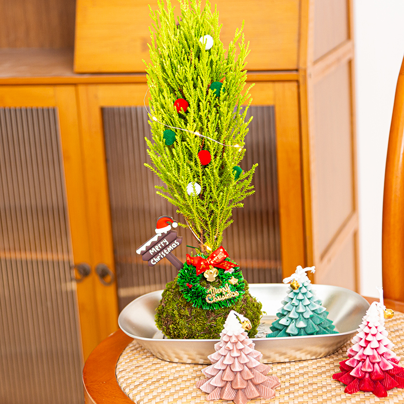 耶诞节装饰品香松苔藓球室内桌面花卉绿植耶诞配饰摆件道具耶诞树