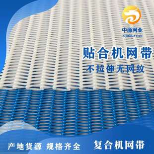 工厂现货耐高温食品造纸烘干网带 环形聚酯螺旋网胶水复合机网带