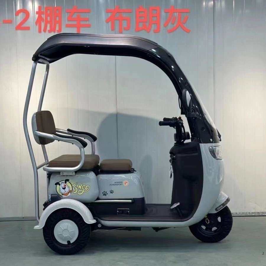 新款带棚电动三轮车小型成人家用电动三轮车休闲代步车老年人孩子