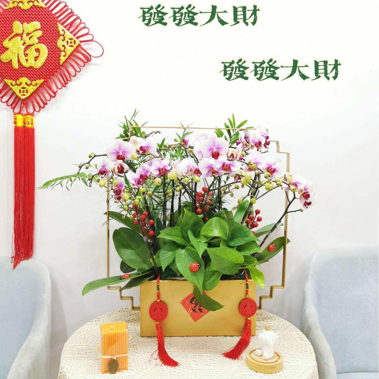 新中式蝴蝶兰花盆银柳年宵花冬青插花器花篮金属福桶客厅玄关摆件,电子元器件市场,其它元器件,淘宝优惠券,粉丝福利购,淘宝优惠卷