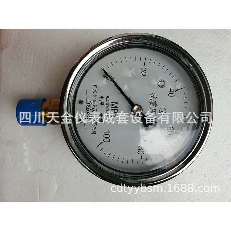 华峰仪表耐震高压压力表YN-100 耐震抗震充油表径向高精度0~60MPA