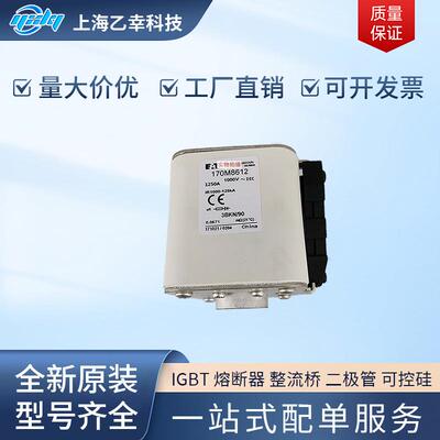 巴斯曼熔断器 170M8629 170M8630 170M8631 170M8632 170M8633