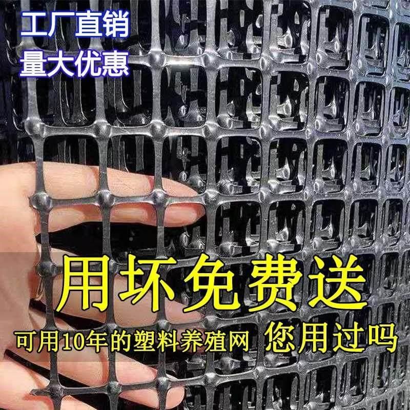 销加网厚塑料网格养殖聚丙烯鸡鸭米围栏雏漏粪网栅栏圈育地围网防,畜牧/养殖物资,养鸡网,淘宝优惠券,粉丝福利购,淘宝优惠卷