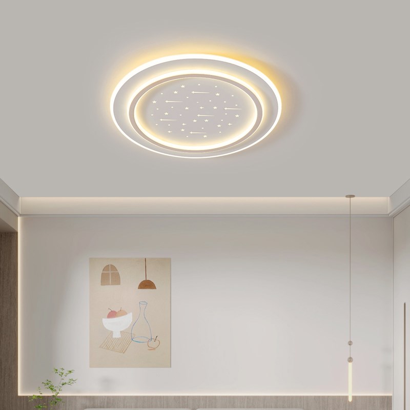 网红现代新款简约主卧室灯具北欧轻奢大气房间客厅书房led吸顶灯