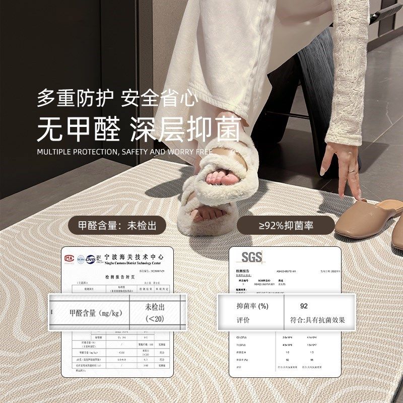 2024新款简约现代家用室外耐脏入户门垫可定制门厅进门踩脚垫地垫