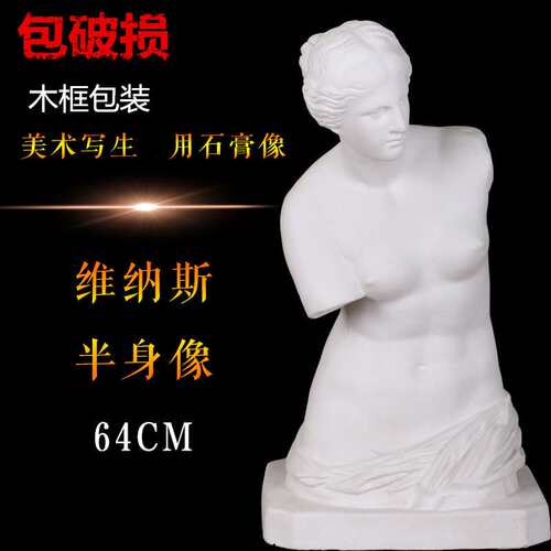 石膏半身像维纳斯半身石膏像维纳斯头像石膏头像H64写生教具