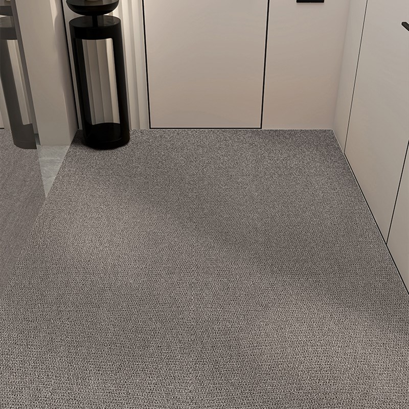 入户地垫免打理家用门口地毯玄关进门门垫耐脏防滑高级Z感入门垫