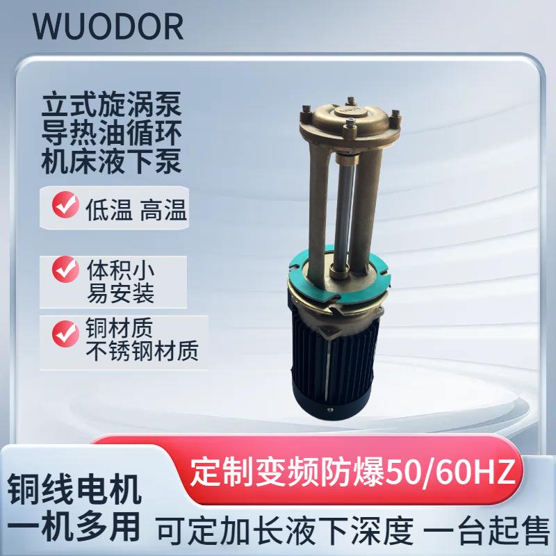 供应0.5kw机床液下泵WL-20-200旋涡泵橡胶射出机配套冷却液循环泵 - 实物图