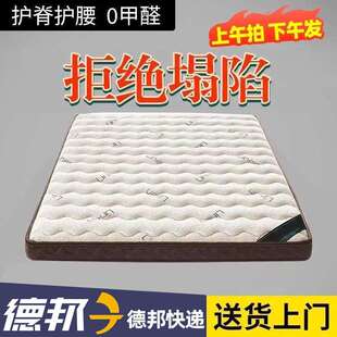 椰棕床垫家用卧室护脊棕榈乳胶儿童棕垫榻榻米垫子支撑透气加密新