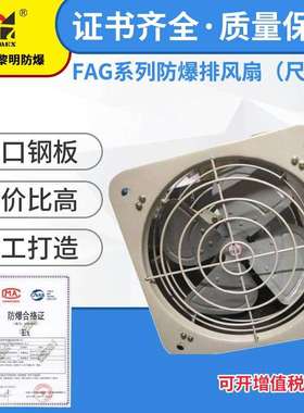 防爆排风扇换气扇 FAG-500带百叶窗壁式新黎明防爆排风扇
