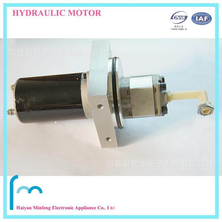 3英寸 直流油泵电机直径80mm 堆高车液压马达 永磁电机 12V/24V,鲜花速递/花卉仿真/绿植园艺,割草机/草坪机,淘宝优惠券,粉丝福利购,淘宝优惠卷