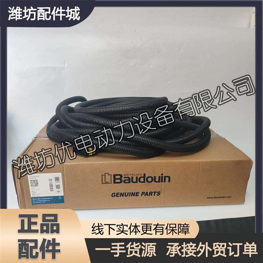 潍柴博杜安6M33发动机船用国三电喷柴油机线束1009024597整车线束