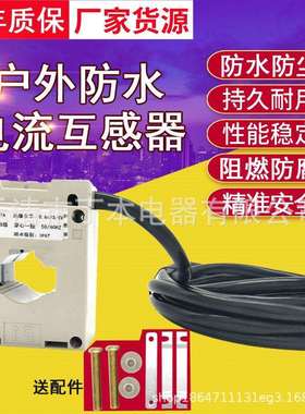 电流互感器户外防水防尖BH0.66超长引线100/5150/53000/5