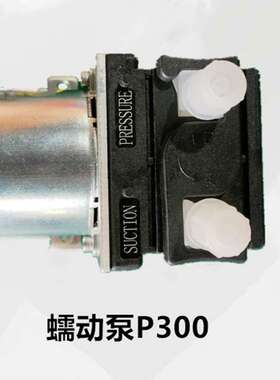 南京威松利cems蠕动泵-WSL-P300蠕动泵  厂家供应 量大价优