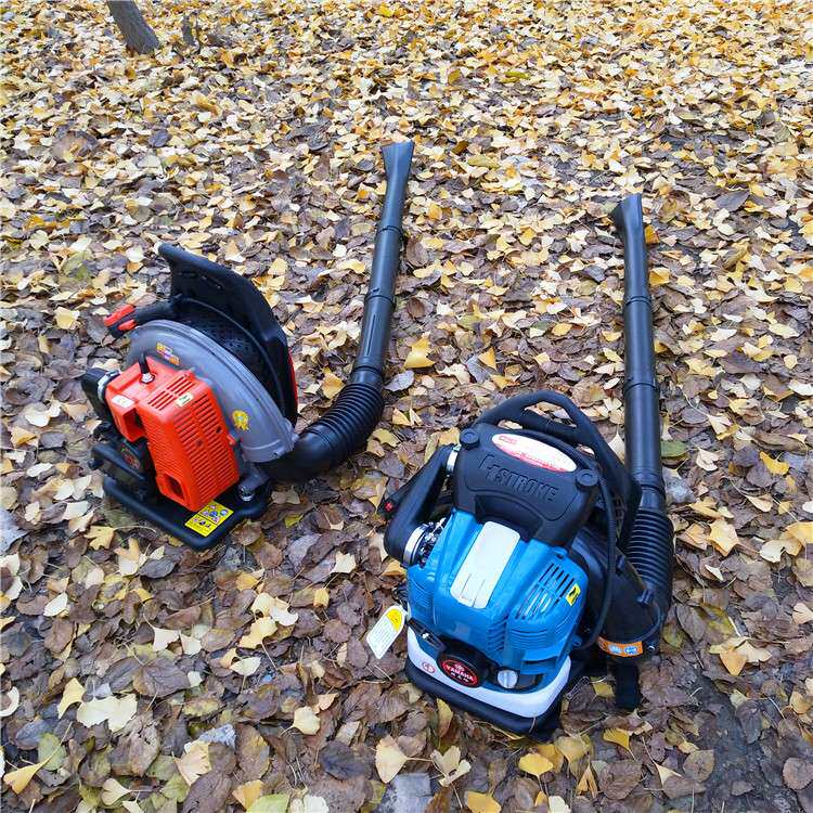 多功能四冲程手提冬季吹雪机 大功率风力灭火机 吹风吹雪机图片