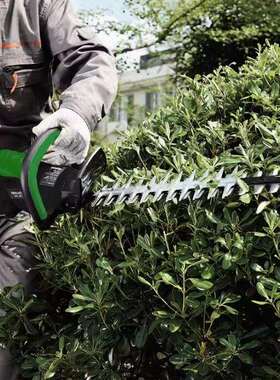 东脉TPHD582758V绿篱机 单双刃修枝机58V修茶机 电动修枝剪