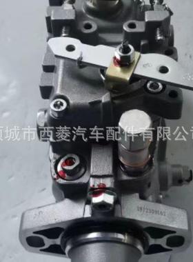 VE6泵总成196000-5090 2806720燃油泵 12F1100RND509油泵 燃油泵