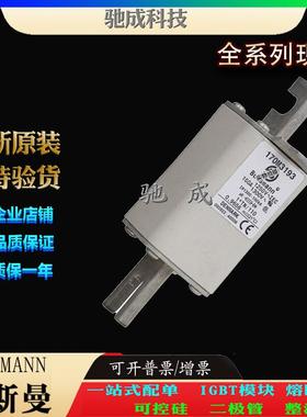 巴斯曼170M3193 170M3194 170M3195 大量现货厂价销售 低压保险丝