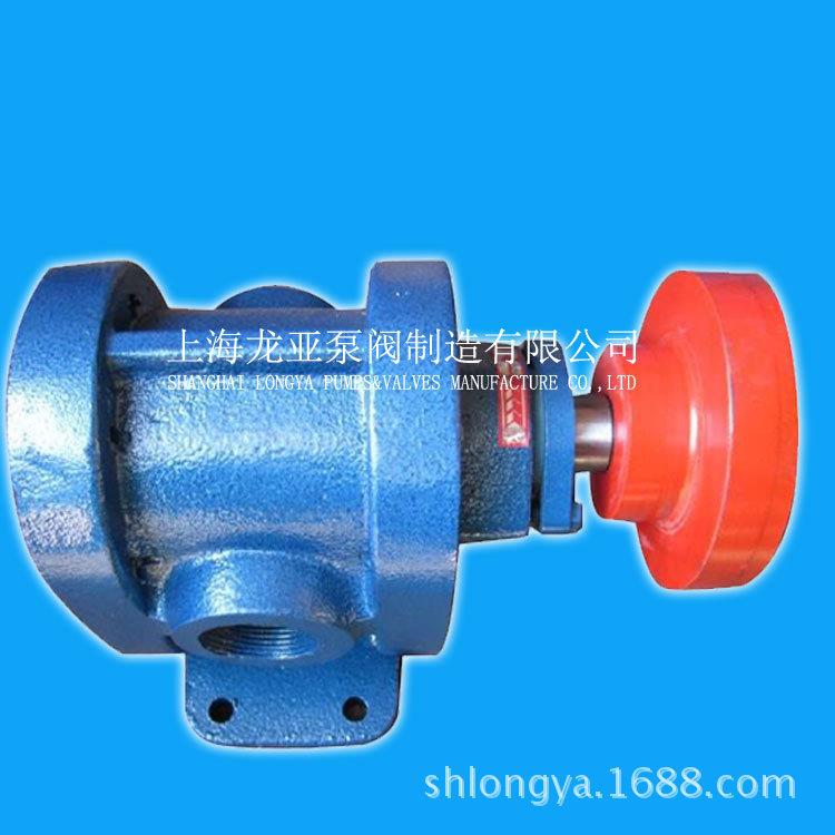 出售2CY12/10kcb型齿轮输油泵 不锈钢304冷油齿轮泵 齿轮润滑泵1